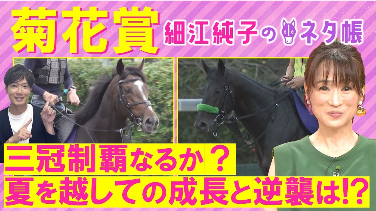 関連動画1