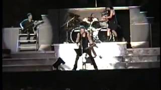 Metallica and alice in chains story.FLV