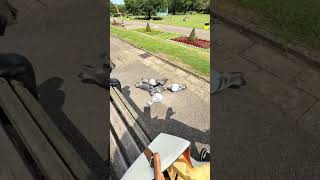 #breakfast #hockey #cafe #nhl #chai #automobile #cover #icehockey #food #foodlover