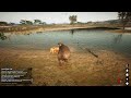 Animalia Survival - Hippo on crack