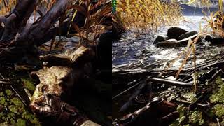 Metro Exodus 3DVision HelixMod