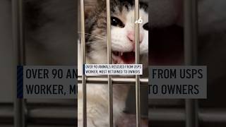 Over 90 animals rescued from USPS worker, most returned to owners