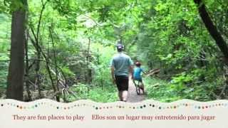 Famous Why forests matter Wealth
