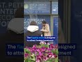 Ukrainian attacks overshadow Putin’s Economic Forum in St. Petersburg | DW News