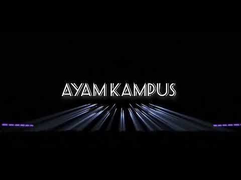 Aditya Taroreh - AYAM KAMPUS - New 2024!!