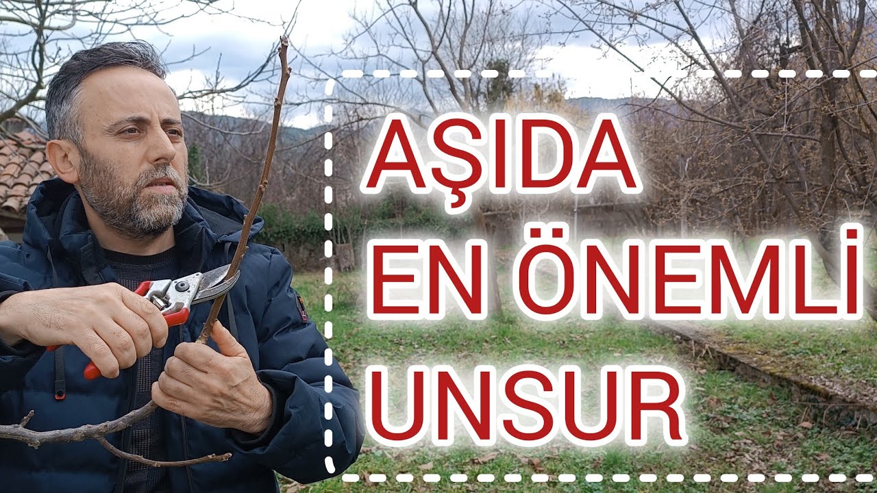 AŞIDA EN ÖNEMLİ UNSUR.  BUNU ÖĞRENDİKTEN SONRA AŞI YAPMAK DAHA KOLAY