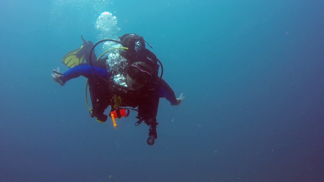 Diving Jupiter Florida YouTube