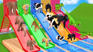 Don’t Break The Wrong Wall with LONG SLIDE Elephant, Cow, Lion, Gorilla, Cat Wild Animals Cage Game