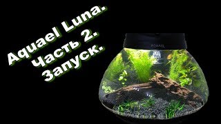 Aquael LUNA. Nano аквариум. Часть 2. Запуск. Грунт, растения, декорации.