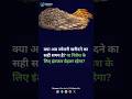 सोना-चांदी फिसला!