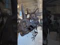 See Psittacosaurus, Triceratops, and more dinosaurs in the Museum’s fossil halls on the fourth floor