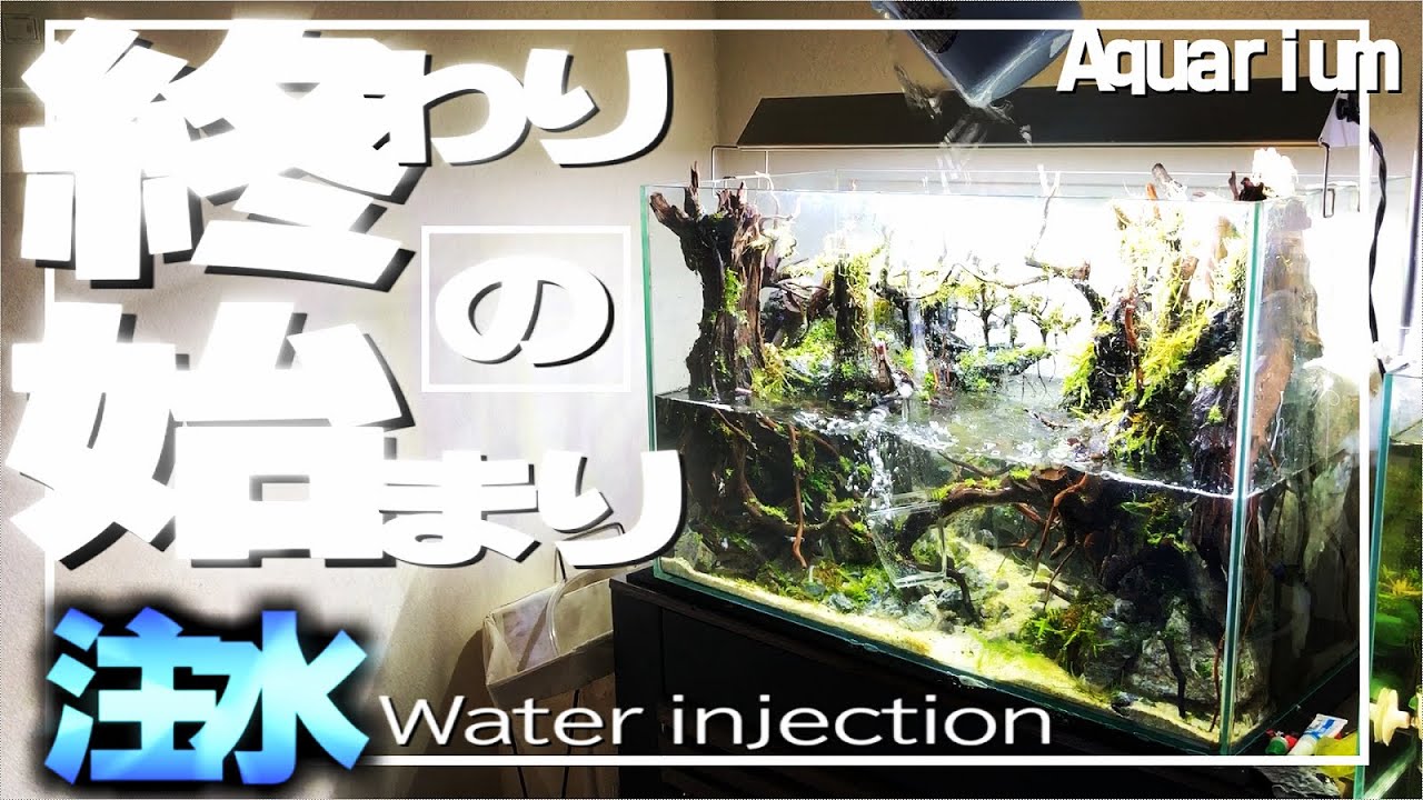 ｱｸｱﾘｳﾑ】ジオラマ水槽に注水【立ち上げ】 - YouTube