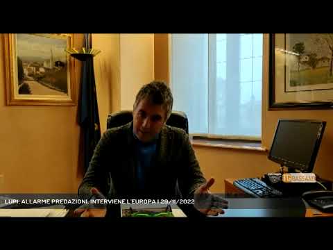 LUPI, ALLARME PREDAZIONI, INTERVIENE L'EUROPA | 29/11/2022