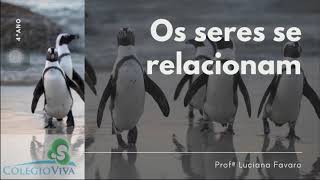 4º ANO- Ciências - Profª Luciana Favaro - Os seres se relacionam