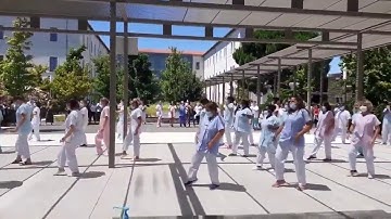 HealthCare Workers in France doing the #JerusalemaDanceChallenge