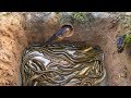 Top 3 Viral Bamboo Fishing Trap Videos|Amazing Fishing With Bamboo Fish Traps