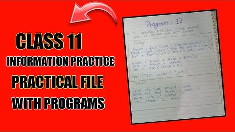 CLASS 11 IP PRACTICAL FILE | INFORMATION PRACTICE FILE | HOW TO MAKE PRACTICAL FILE CLASS 11