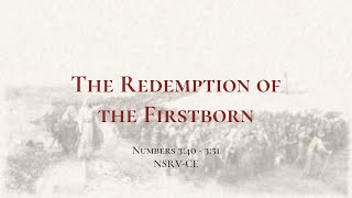 The Redemption of the Firstborn - Holy Bible, Numbers 3:40-3:51