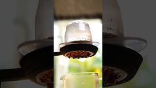 Download Lagu Brewing with the best all rounder grinder ever made #NicheDuo #coffeemaking #OreaZ1 #KintoJapan MP3 Download Lagu Brewing with the best all rounder grinder ever made #NicheDuo #coffeemaking #OreaZ1 #KintoJapan MP3