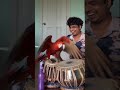 He learned to play Tabla| He is applying powder #shortsfeed #love #trending #colonelkkjϟ