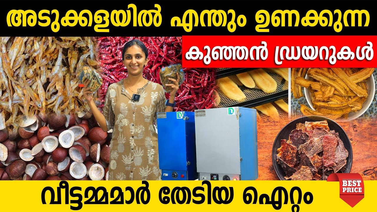 അടുക്കളയിൽ എന്തും ഉണക്കുന്ന കുഞ്ഞൻ ഡ്രയറുകൾ | വീട്ടമ്മമാർ തേടിയ ഐറ്റം ഇതാണ്