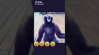 VID 20210215 WA0178