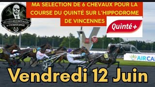 Ma sélection de 6 chevaux pour la course du Quinté du Vendredi 12 Juin sur l'hippodrome de Vincennes