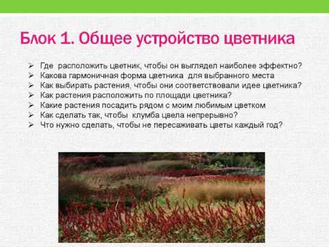 Красивый цветник. Общее устройство цветника. Оформление цветников своими руками