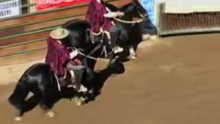 Eduardo tamayo y juan carlos loaiza en fantastico y filtrao