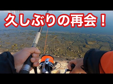 【あの人と再会】久しぶりに一緒にヒラメ釣りしたら、あまりの激変ぶりにびっくりでした