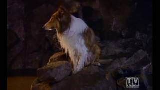 The New Lassie (Season 2 Eps.10)