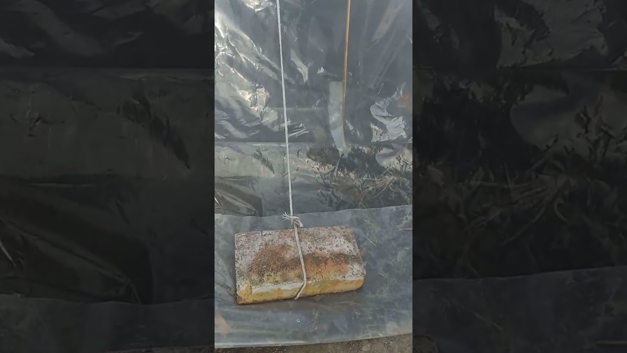 3 февраля 2026 г.