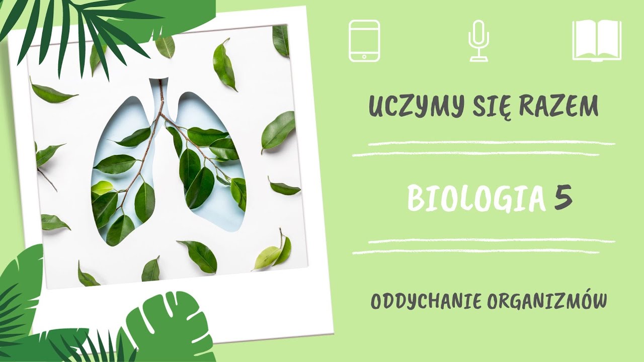 Czynności życiowe Organizmów Klasa 5 Biologia klasa 5. Oddychanie organizmów. Uczymy się razem - YouTube