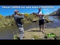 Pescar CARPAS con cebo dulce y TERGOPOR. Como pescar CARPAS en Claromeco