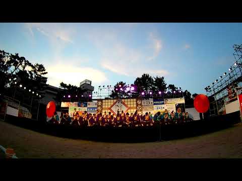 49 四天王寺大学YOSAKOIソーラン部仏喜踊 「廻桜」初披露 おどるんや～紀州よさこい祭り～2019 砂の丸競演場 wide