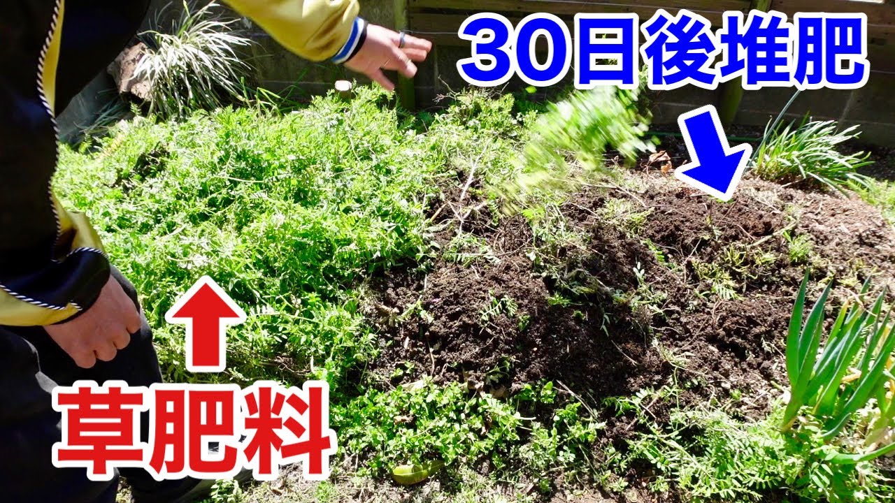 【たったこれだけ】30日後植物は全部堆肥にできます　【園芸超人カーメン君】