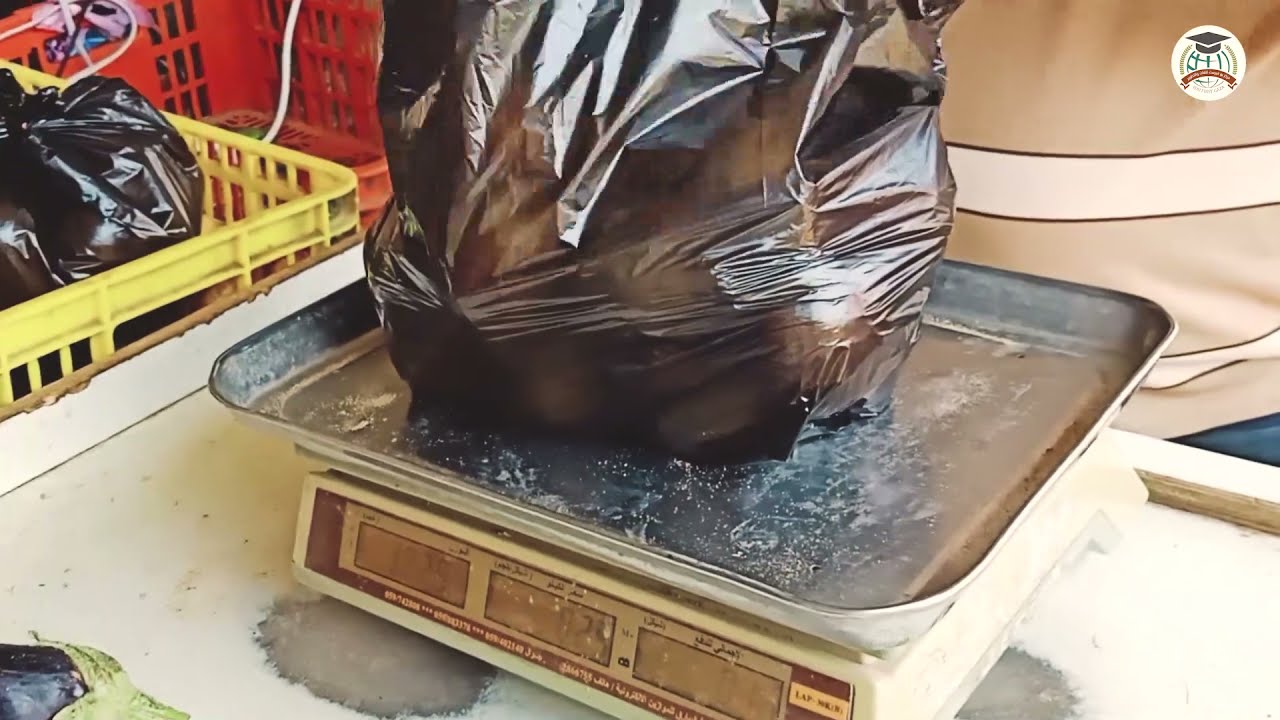 Food packages for 20 poor families in Gaza Strip 03/05/2021