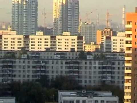 Признаки и свойства живых организмов