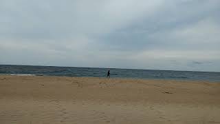 Lecount Beach, Cape Cod