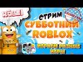 СУББОТНИЙ СТРИМ РОБЛОКС КАНИКУЛЫ! Симулятор Питомцев и другие! Robzi с Подписчиками!