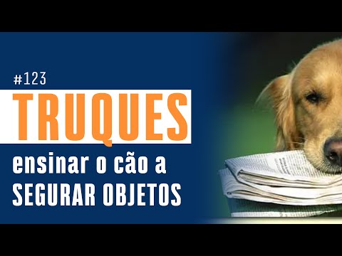 Vídeo: Como ensinar ao seu cão os comandos “Deixar isso” e “soltar”