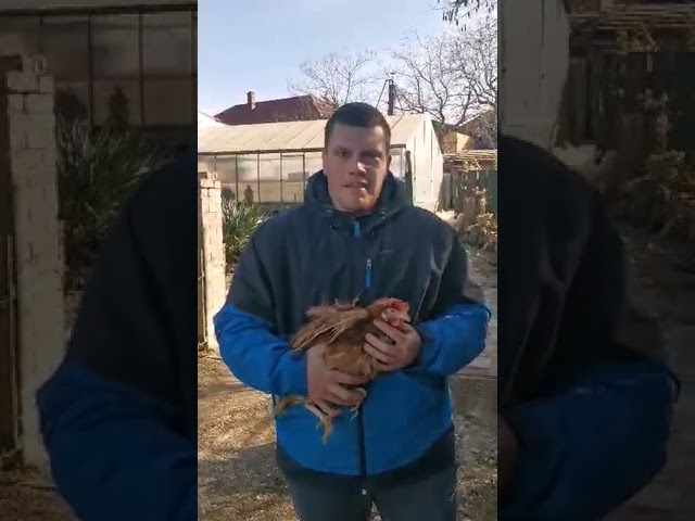 István Tiszaföldvár