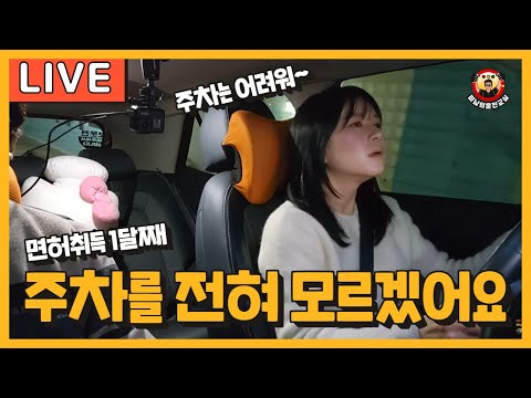 [라이브 고고씽] ♥ 차는 없지만 일단 운전을 <strong>배우고</strong> <strong>싶어요</strong>