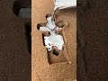 Amazing DIY alchemy #handmade #satisfying #decompression #funny #diy #samr