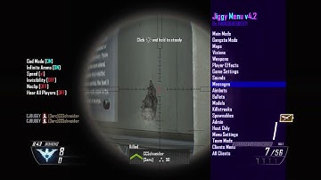 Messing around with mods in bo2