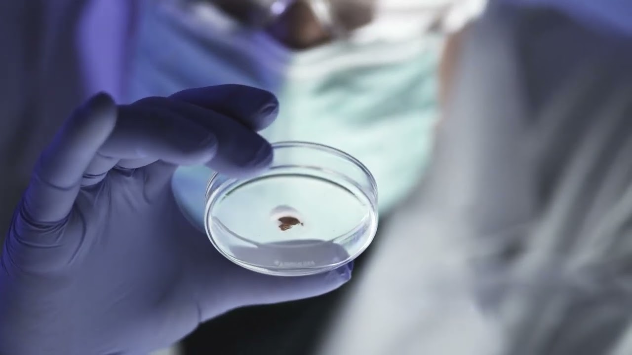 25 Types of Doctors and What They Do for Patients' Health (Article-1)