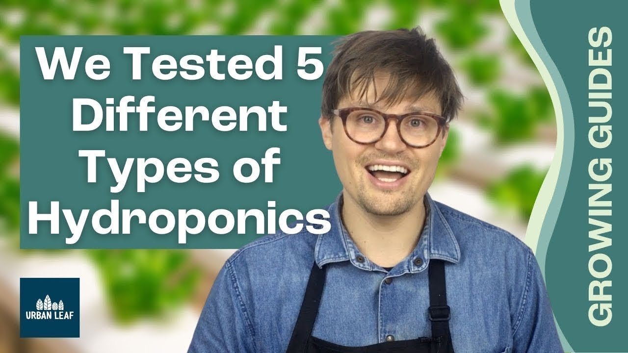 Системы гидропоники бок о бок — аэропоника против капельного полива, Kratky и DWC