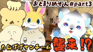 #お泊まりめぞん  第3回「ちいさきいのちたち」