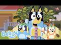 ブルーイは庭で楽しんでいる!🌳💙 | ブルーイ - 日本公式チャンネル - Bluey