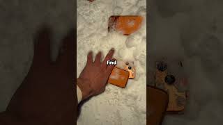 Download Lagu he found WHAT in his backyard? MP3